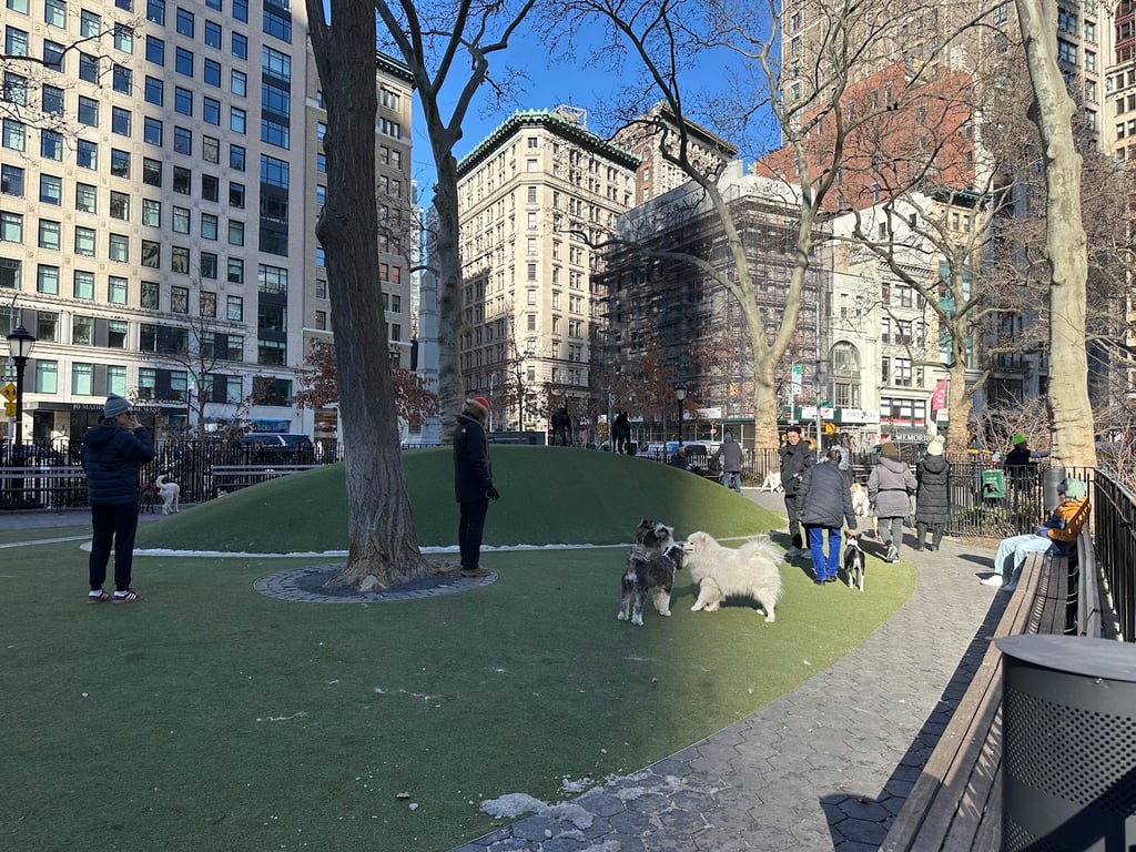 Jemmy’s Dog Run