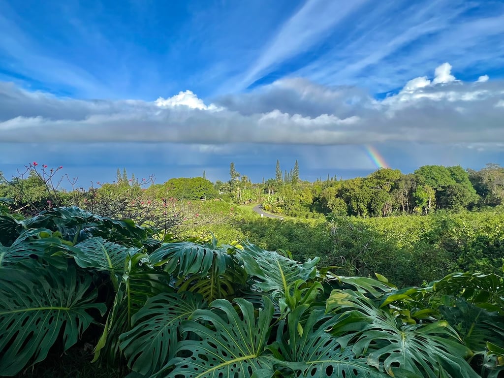 Heavenly Hawaiian Kona Coffee Farm Tours