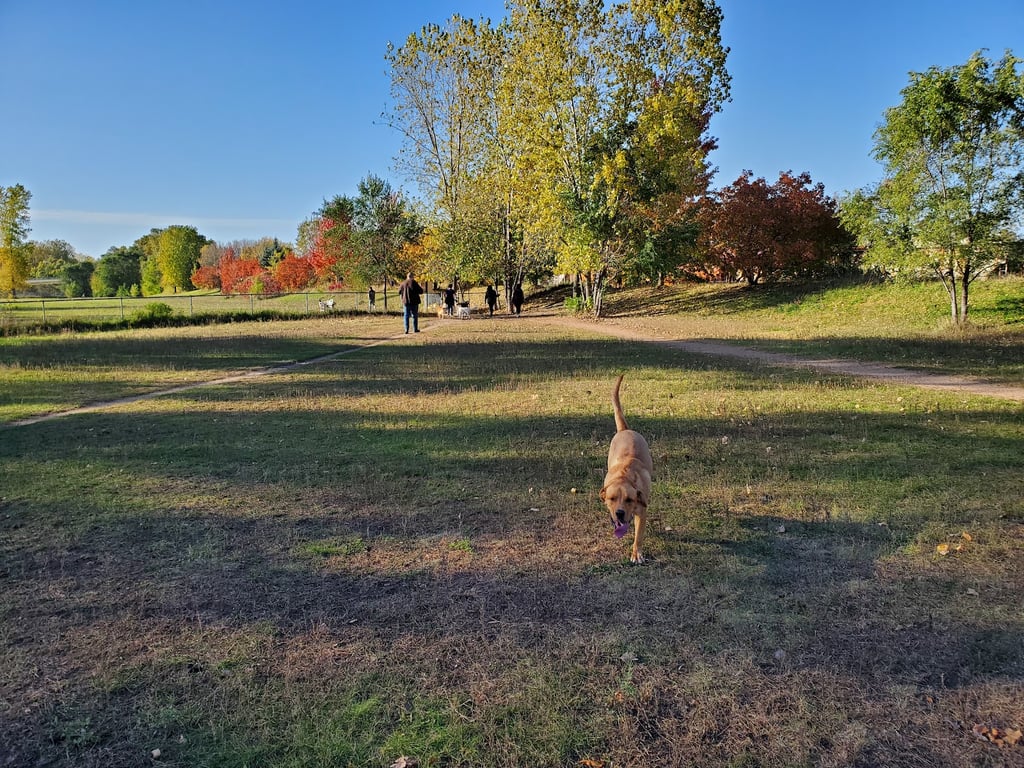Victory Prairie Off-Leash Recreation Area