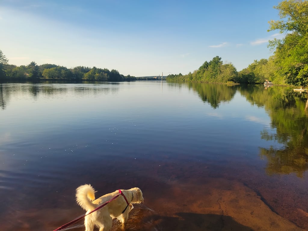 Hooksett Dog Park