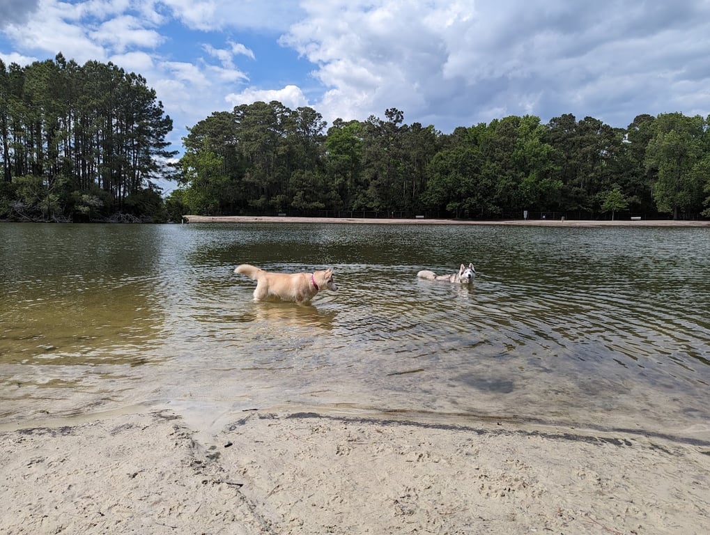 Bark Park South