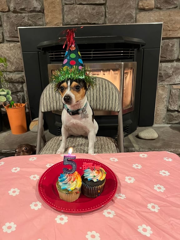 Bulldog Brew Coffee House