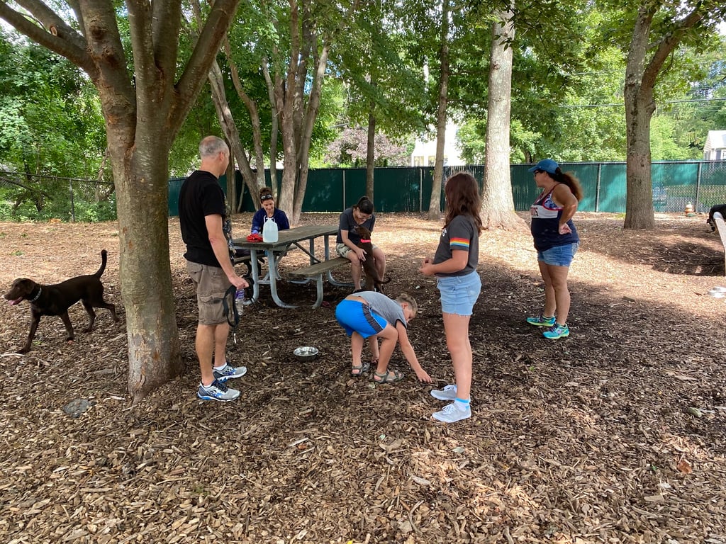 Medway Dog Park