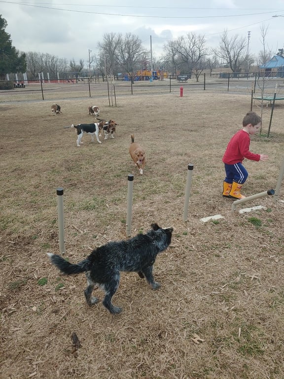 Ronald O. Thomas Dog Park