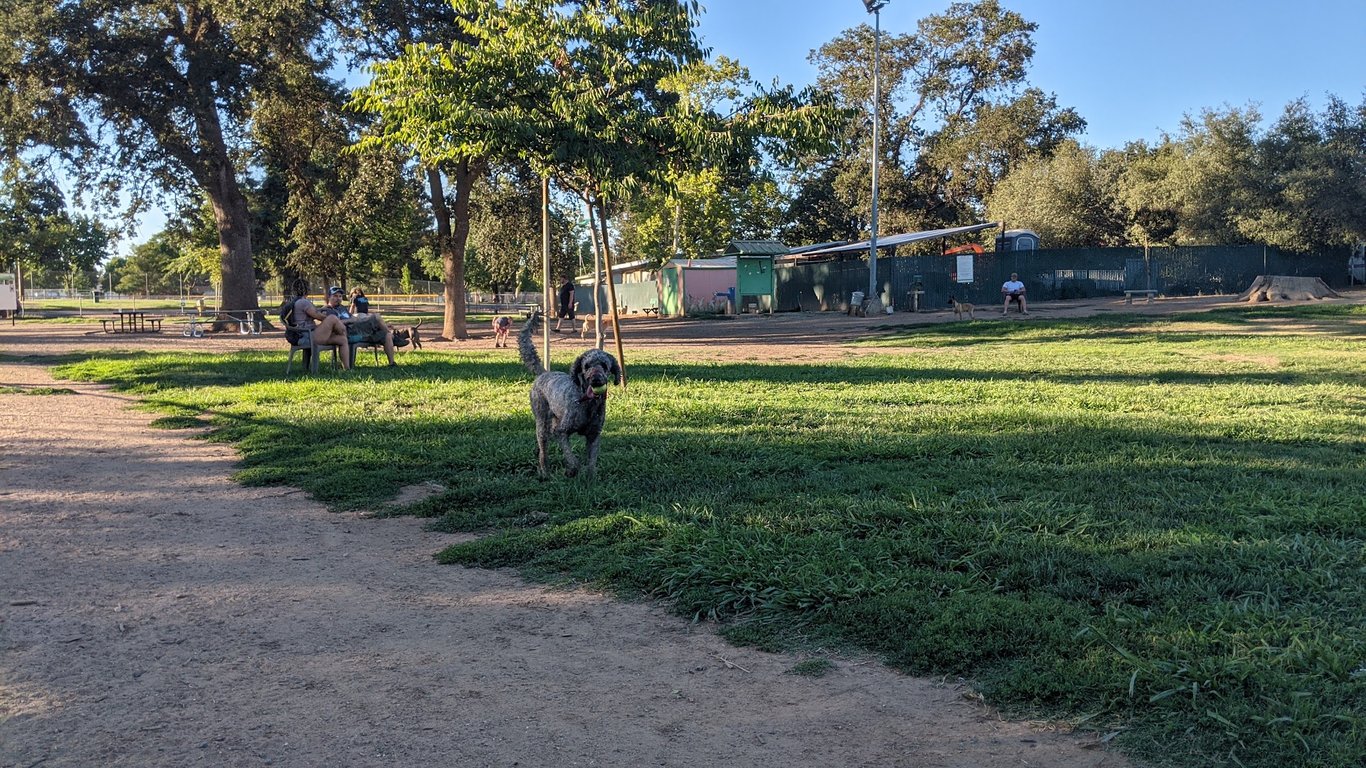 Carmichael Park Off Leash Dog Park