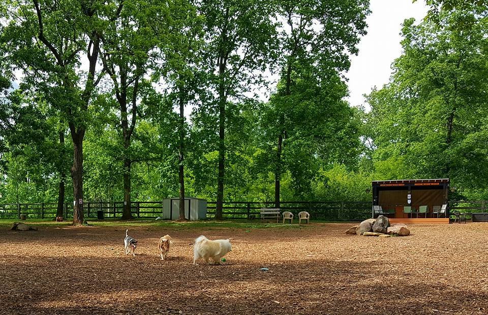 Vint Hill Dog Park