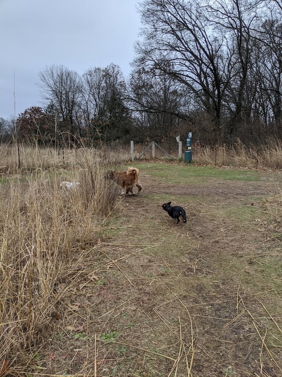 Spring Green Dog Park