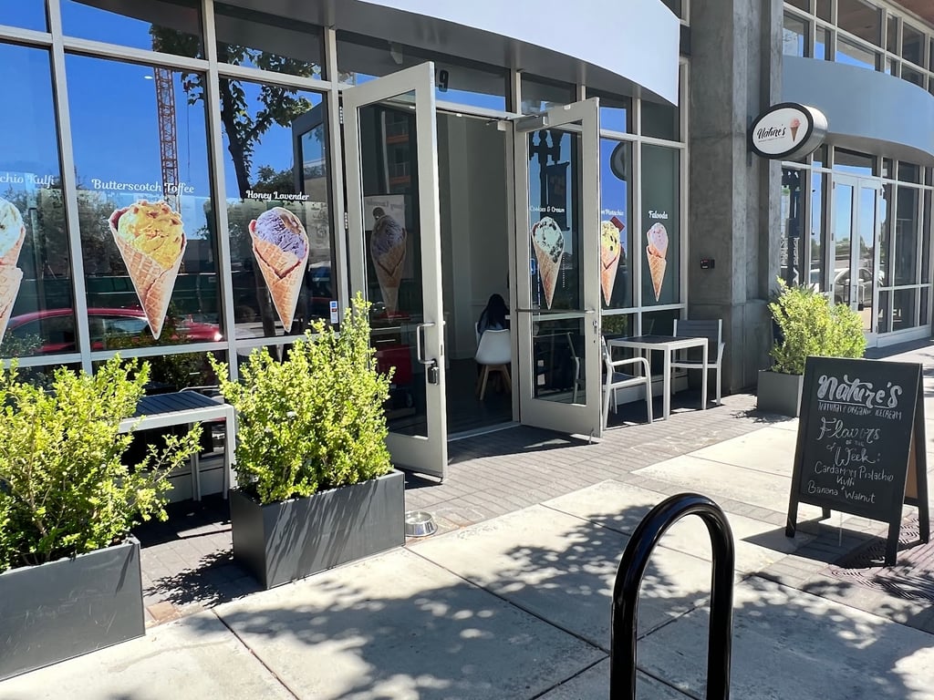 Nature’s Organic Ice Cream – Sunnyvale