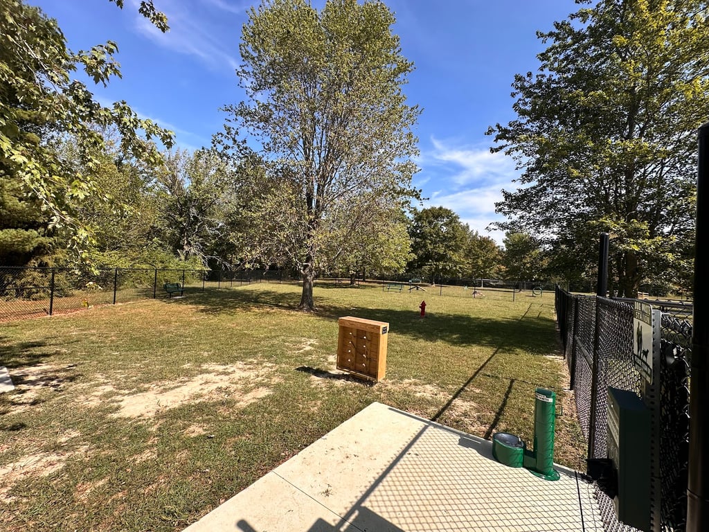Canine Playground