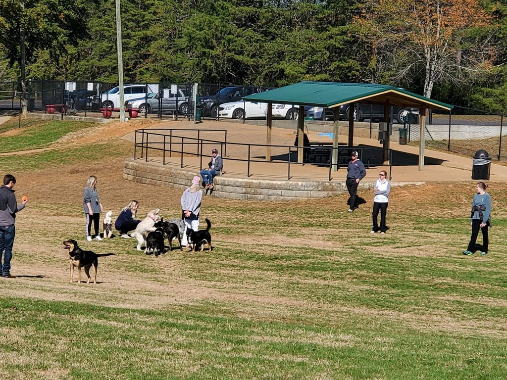 Will May Dog Park