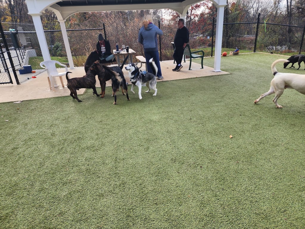 Ma & Pa Dog Park