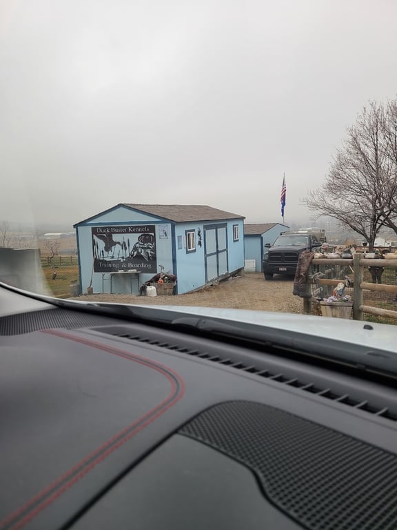 Duck Buster Kennels