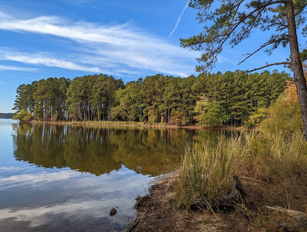 Harris Lake County Park