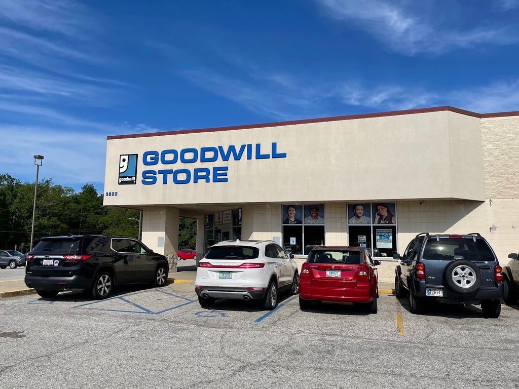 Goodwill