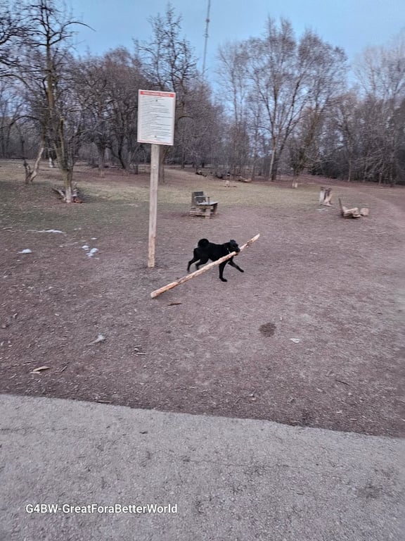 Outagamie County Dog Park