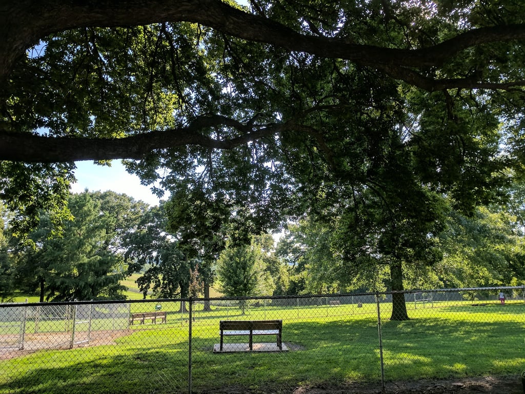 Waggin’ Tails Dog Park