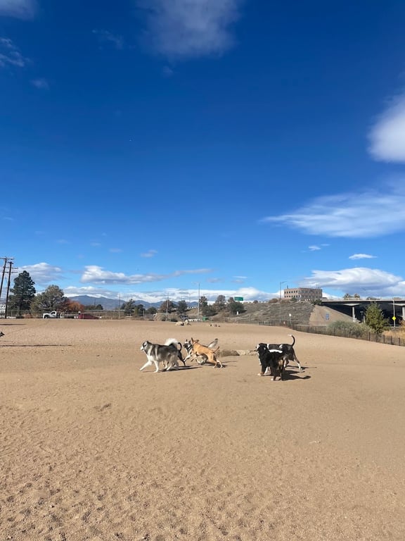 Berkeley Dog Park