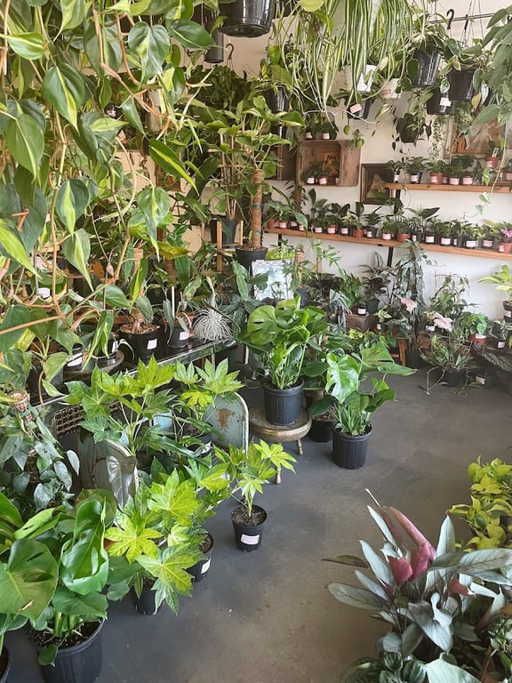 Photo of Frida’s