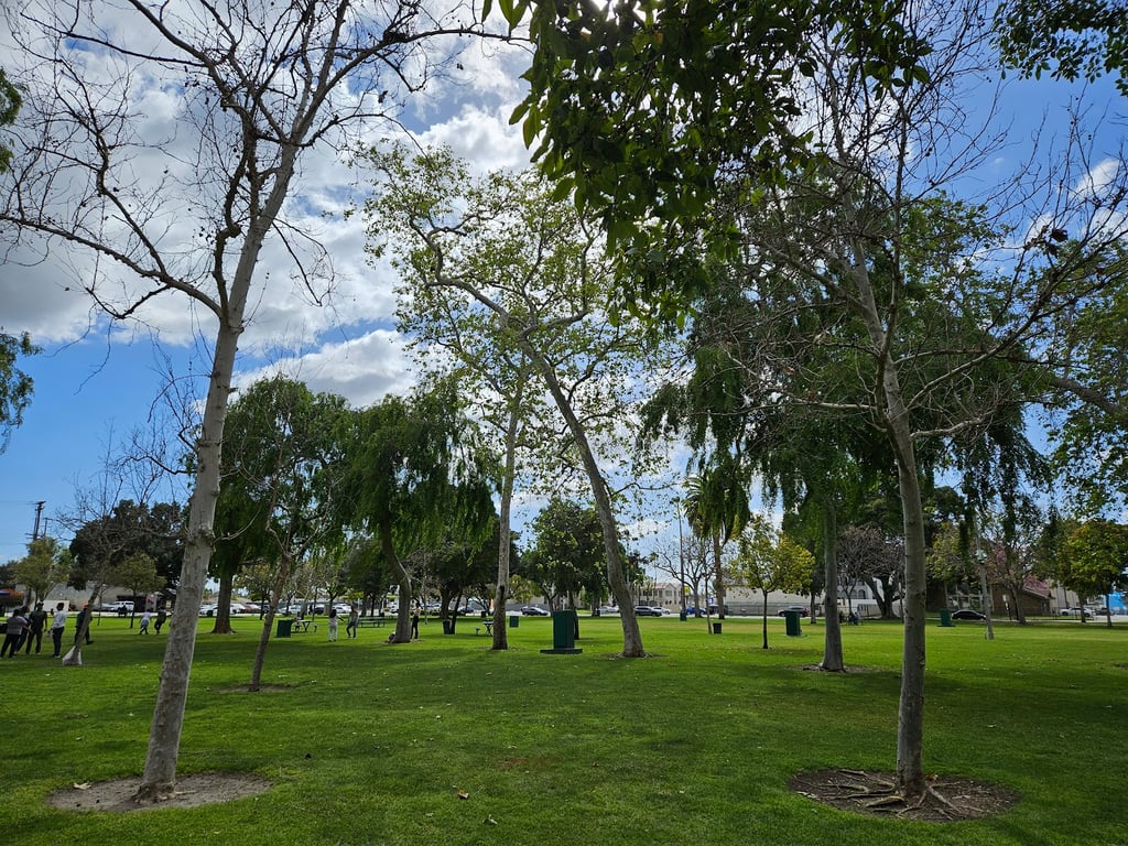 La Palma Dog Park