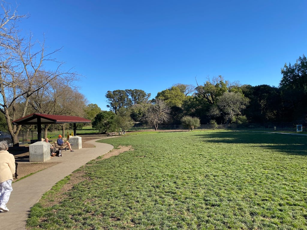 Dogbone Meadow