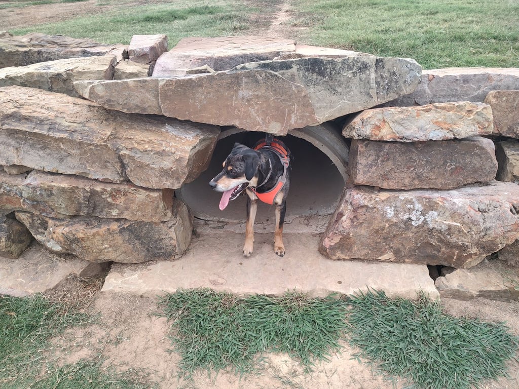 Orchards Dog Park