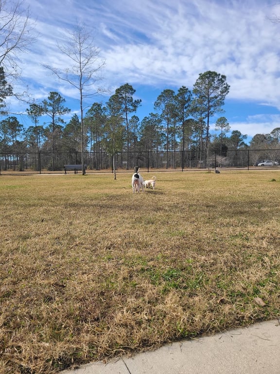 FETCH Park