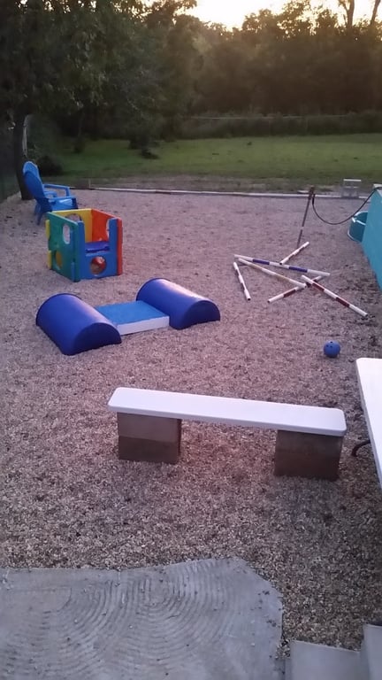 Canine Fitness and Activity Center
