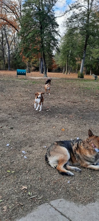 Lake Meade Dog Park