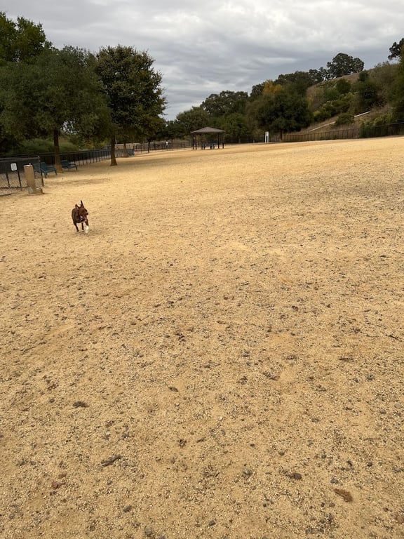 Bollinger Dog Run