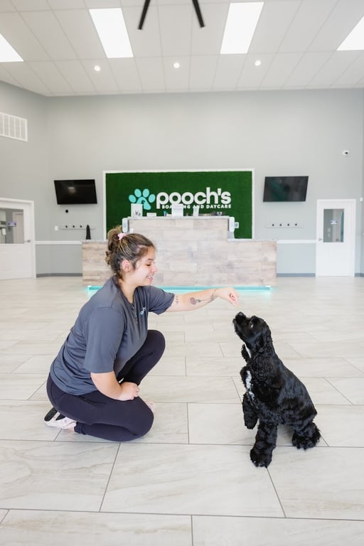 Pooch’s Boarding and Daycare