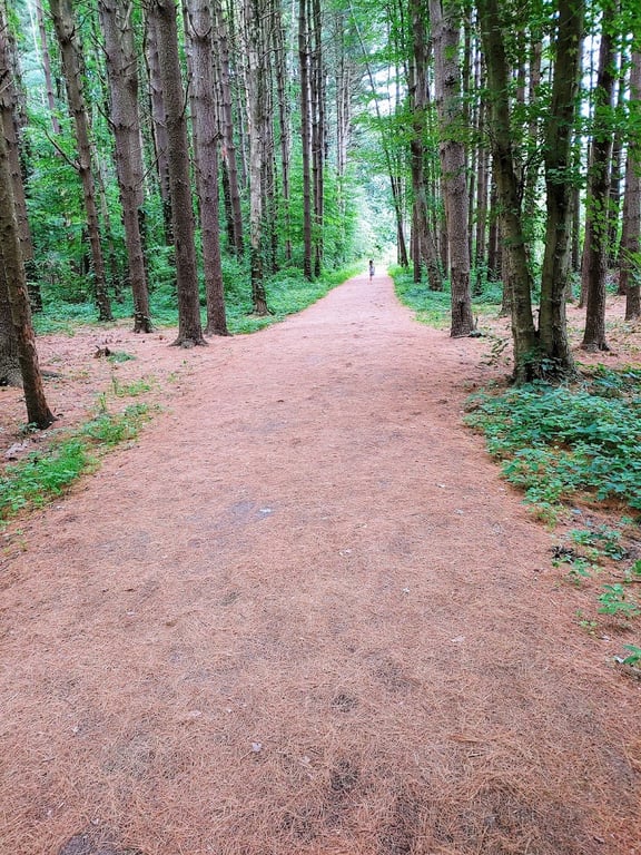 Shelton Dog Park