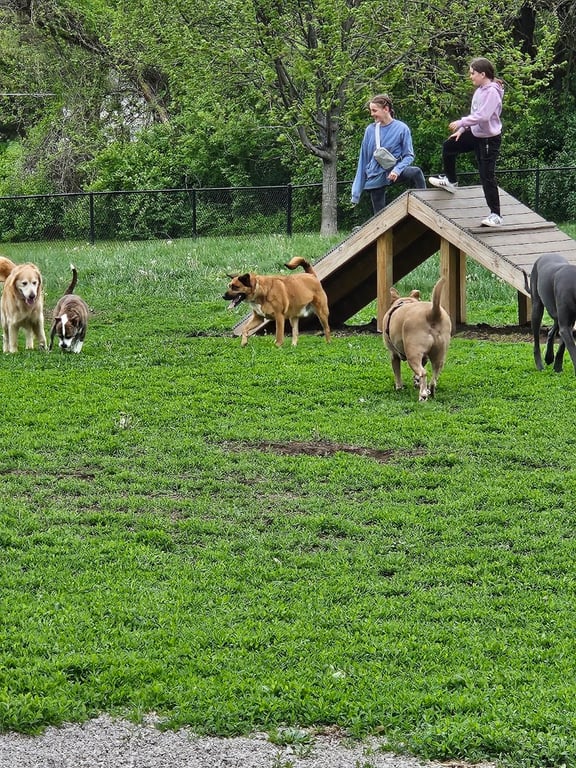 Liberty Dog Park