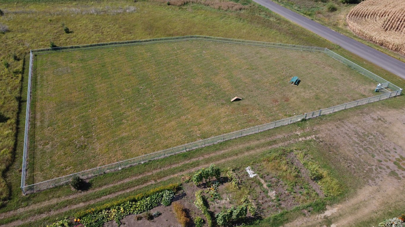 City of Volga Dog Park