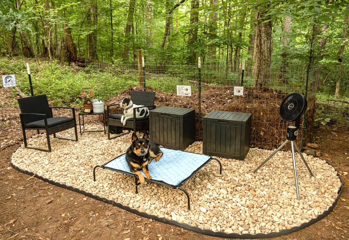 Shady Woods Agility Park