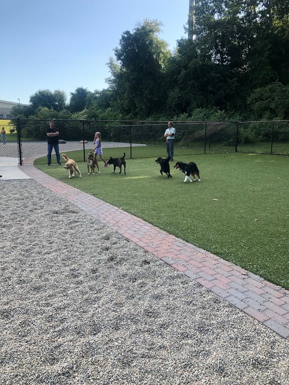 Town of Auburn Dog Park