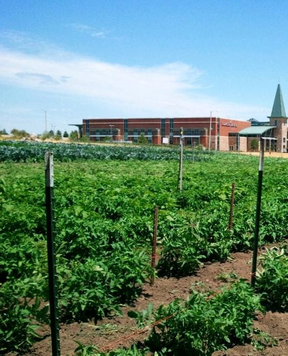 Blackhawk Church Food Pantry Garden
