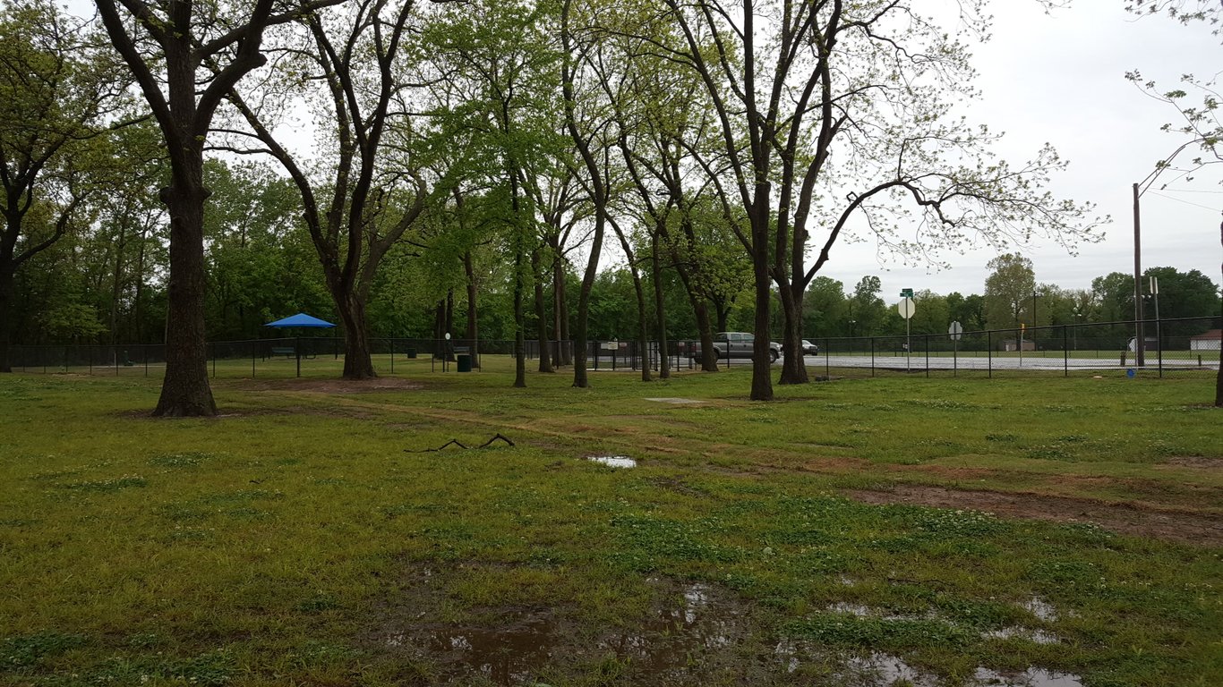 Bark West Dog Park