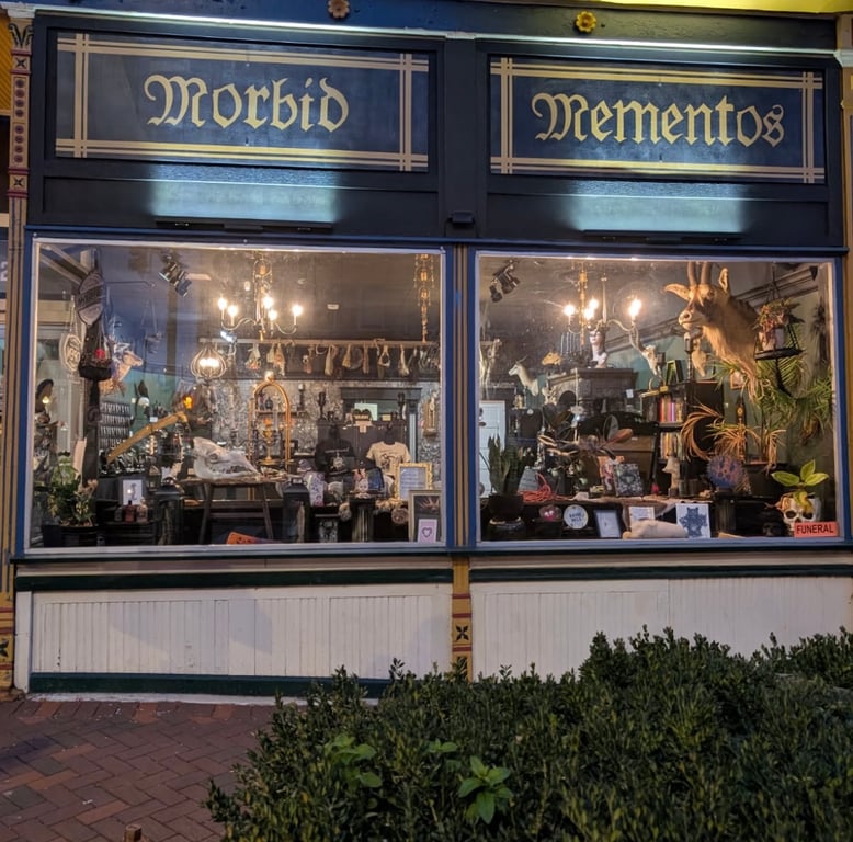 Morbid Mementos Oddities and Occult