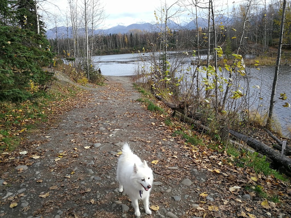 University Lake Park