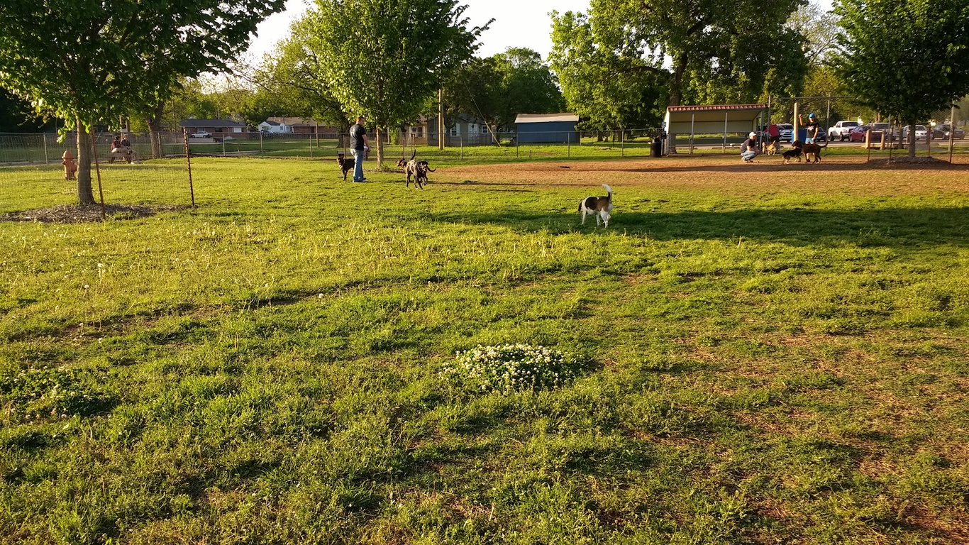 Stillwaggin’ Dog Park