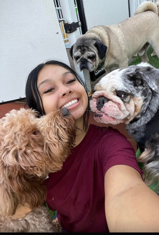 South Park Doggie – Doggieland (LA)