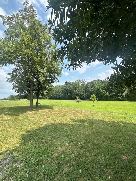 Fulton Dog Park