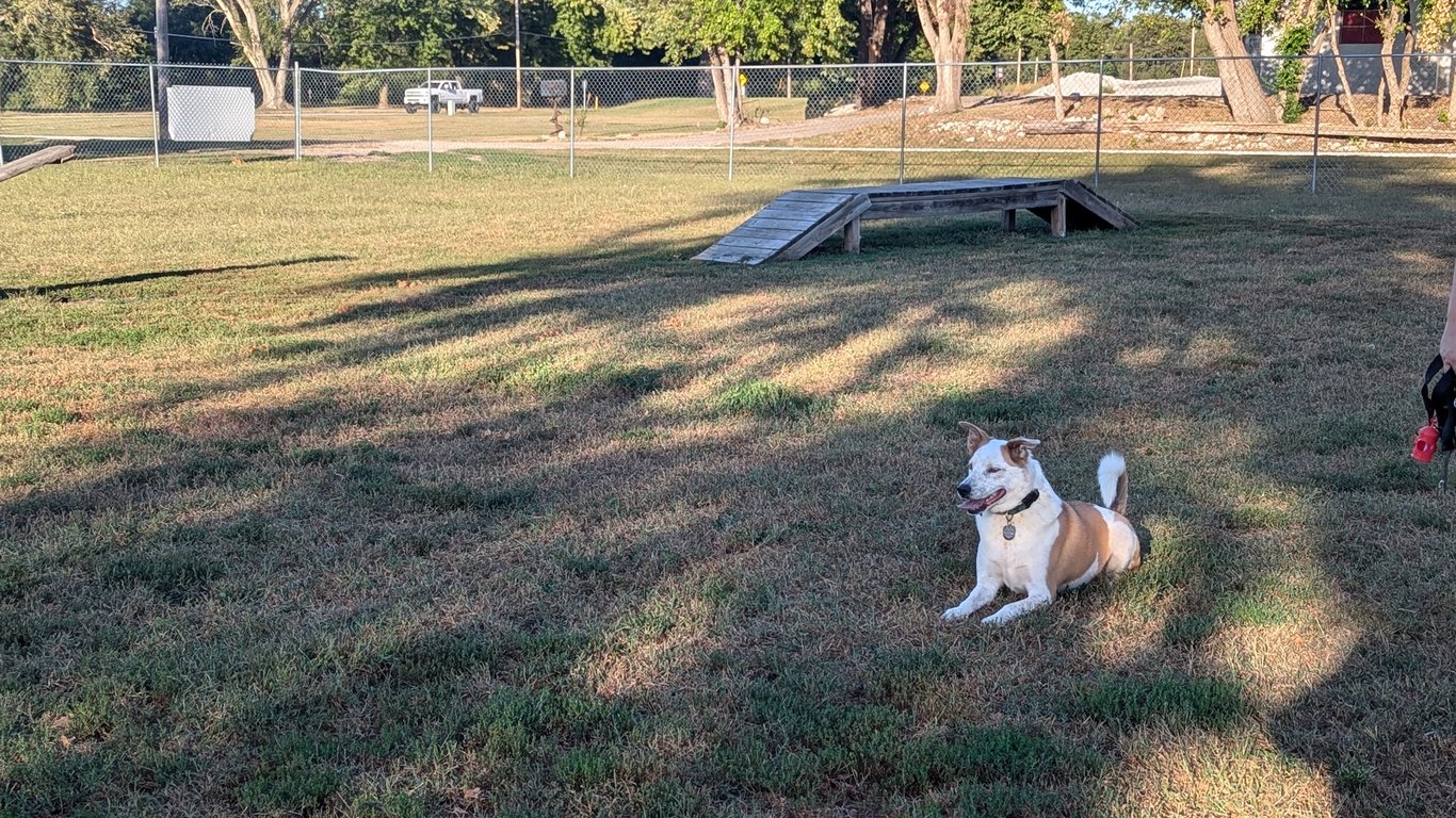 Ashland Dog Park