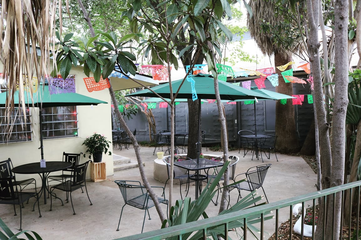 Photo of Viva Vegeria