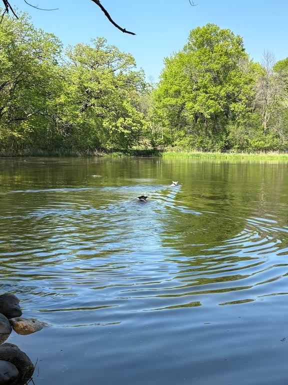 Battle Creek Dog Park