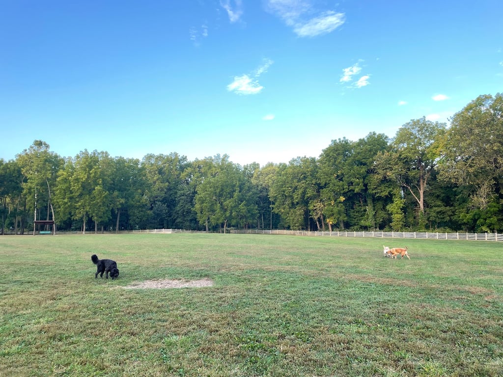 Leawoof Dog Park
