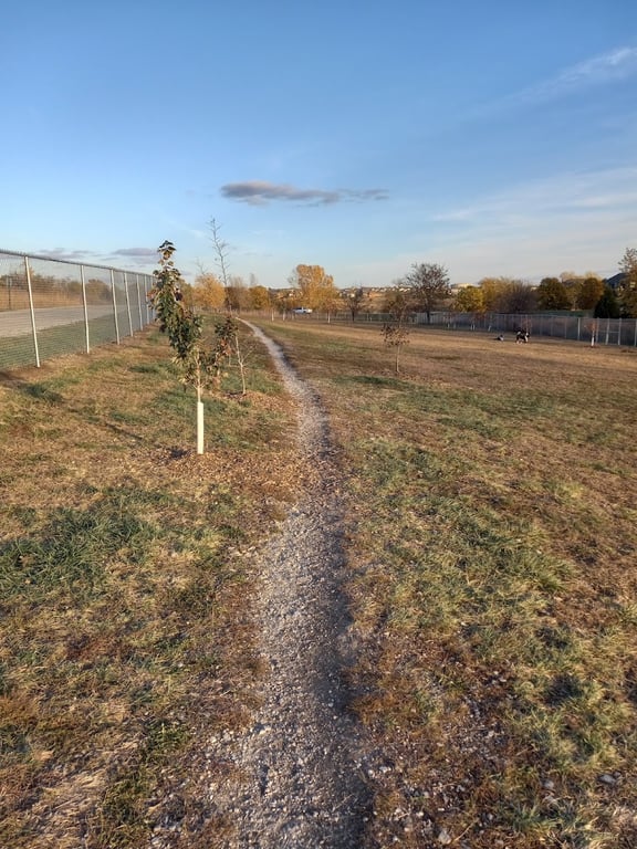Walnut Creek Leash Free Dog Park