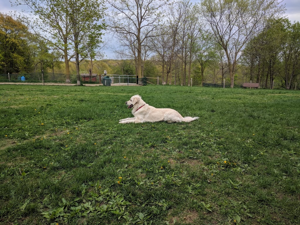 Minooka Dog Park