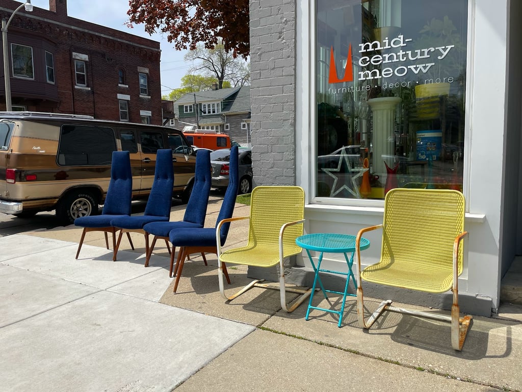 Mid-Century Meow
