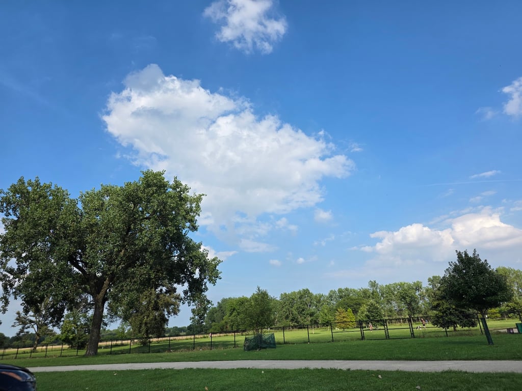 Miller Meadow Off-Leash Dog Area